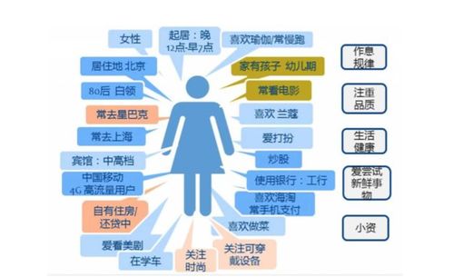 抖音用戶畫像解析 基本屬性、案例剖析及思邁特軟件Smartbi在軟件銷售中的應(yīng)用